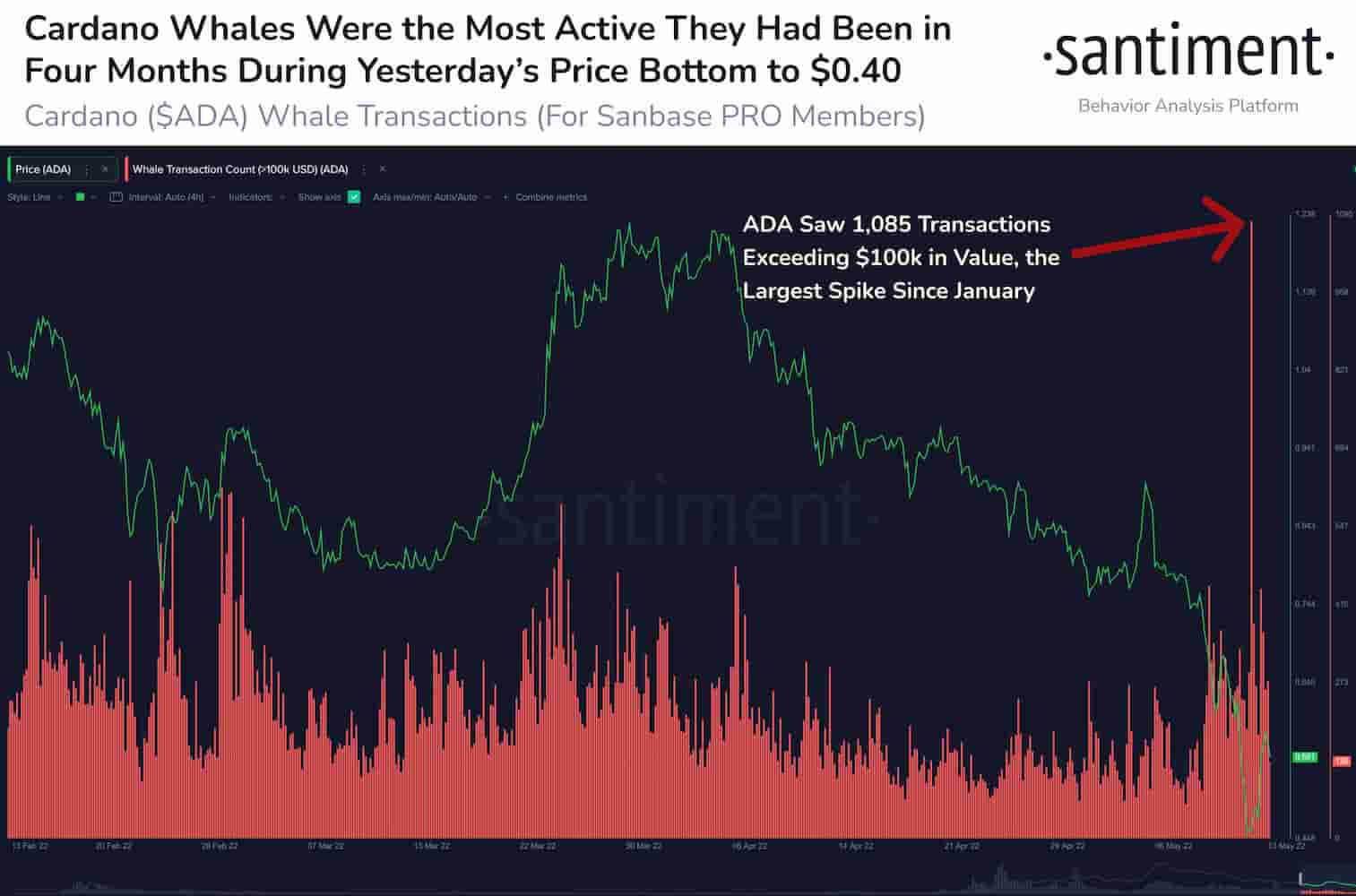 Cardano Whale Transactions Hit A Month High As Large Players Buy The Dip