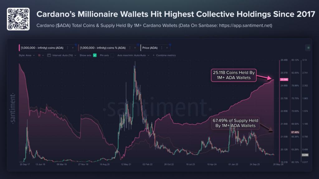 Cardano millionaire wallets hold record ADA since December 2017