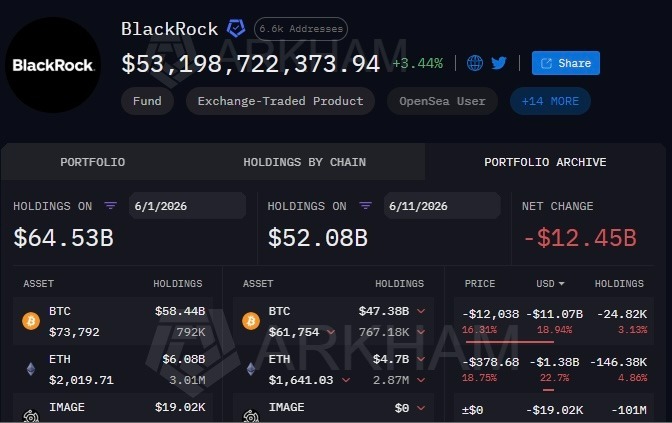 BlackRock crypto portfolio falls by over $12 billion in early June