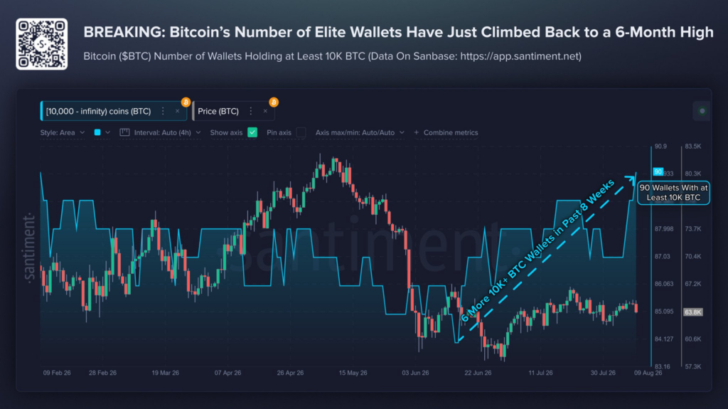 Bitcoin elite whales spike to a six-month high