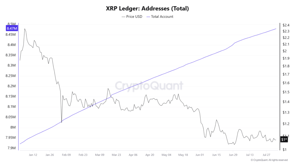XRP Ledger adoption accelerates as Ripple receives full EU MiCA license