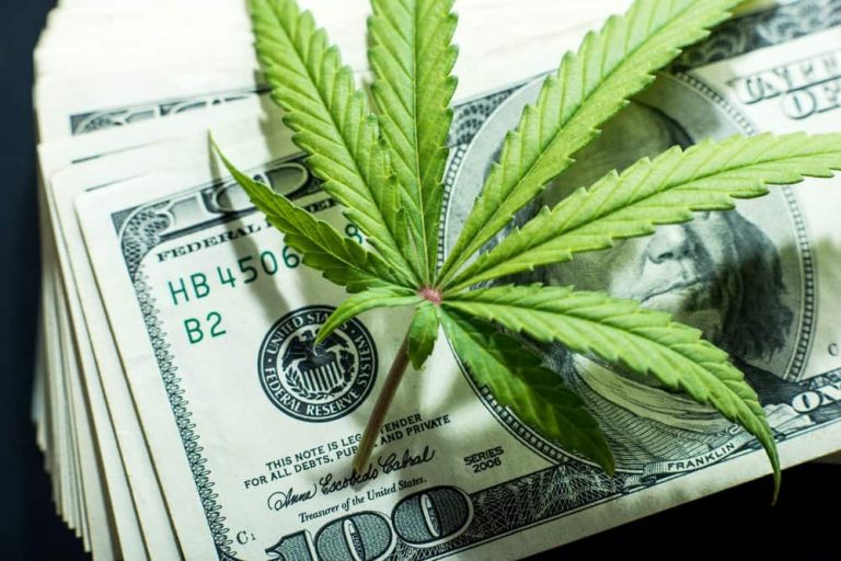Aurora Cannabis stock plunge 18% on bleak revenue outlook
