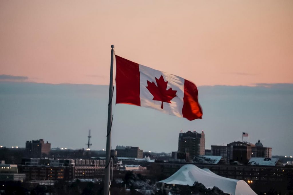 TradingView and Wealthsimple report a weighty increase in Canadian users amid a pandemic