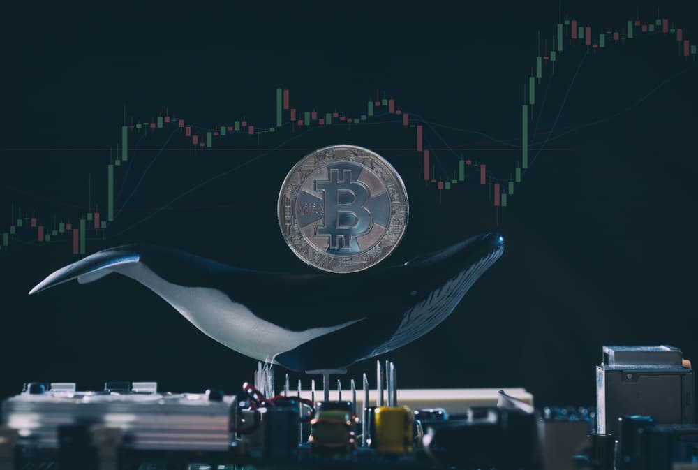 Bitcoin Whale behind 2020 black Thursday linked to recent corrections