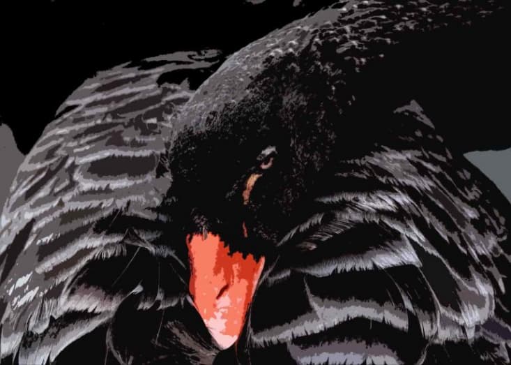 The Black Swan author is dumping Bitcoin due to high volatility