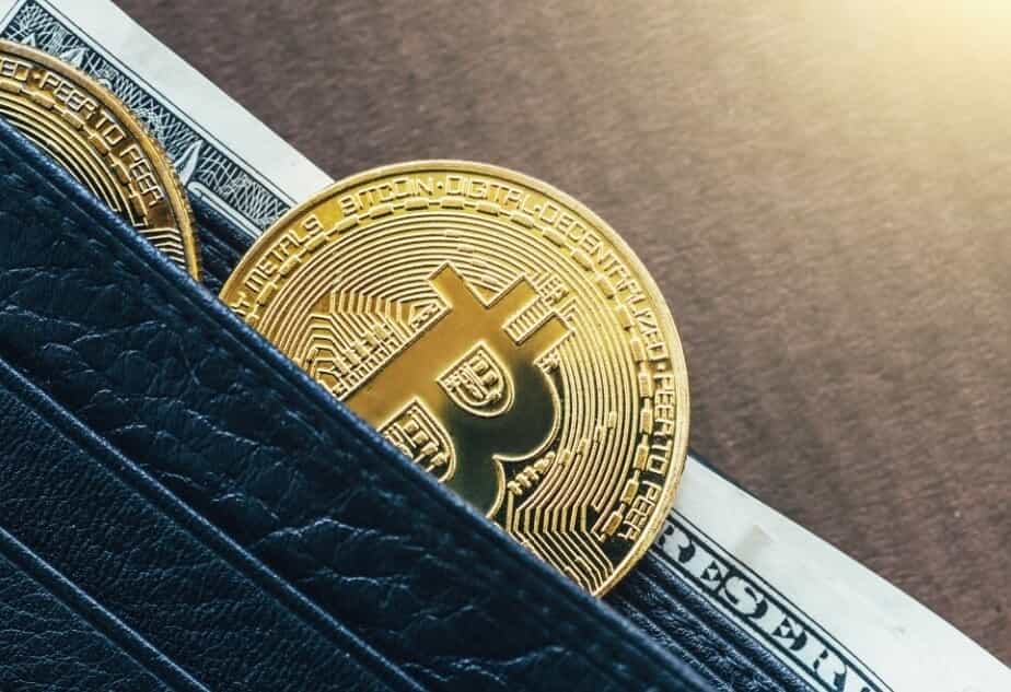 Economics professor says Bitcoin is 'a gigantic step backwards into the monetary stone age'