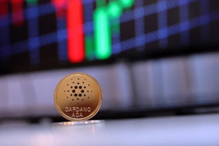 Interest in keyword 'Buy Cardano' on Google hits 3-month high