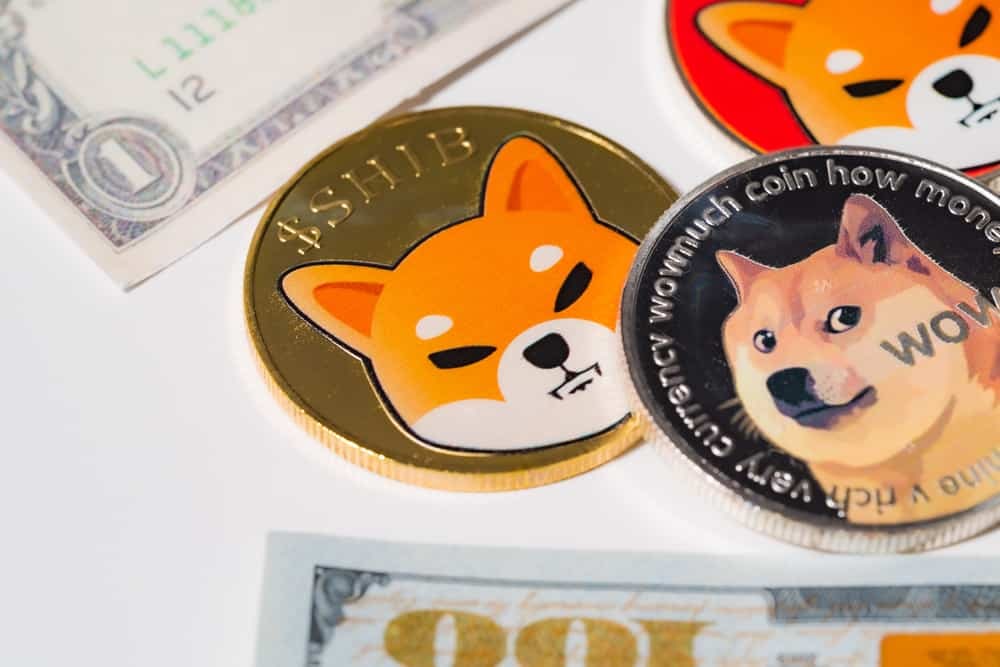 Shiba Inu is the most-used non-stablecoin token on ETH network in last 7 days