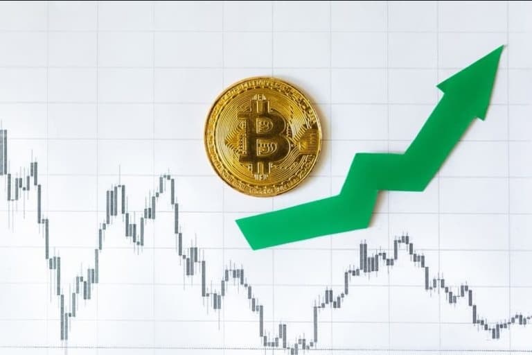 Bitcoin leads crypto market gains