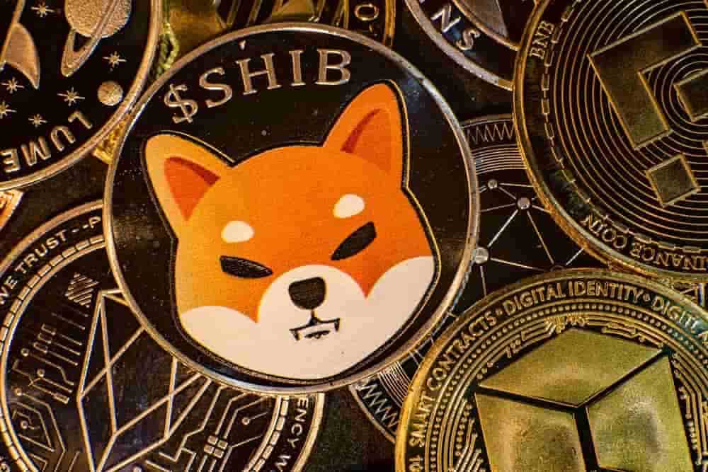 SHIB’s Robinhood petition hits 500k signatures, becomes leading request on Change.org