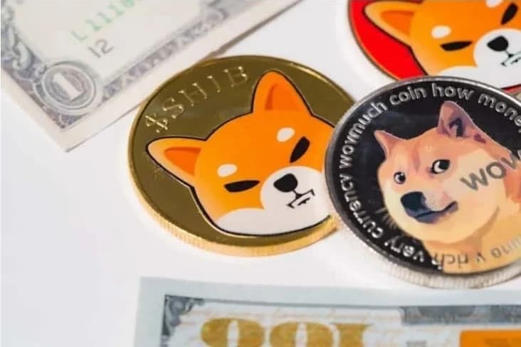 Over 100k Dogecoin-related pages were published online in November, 13x more than SHIB