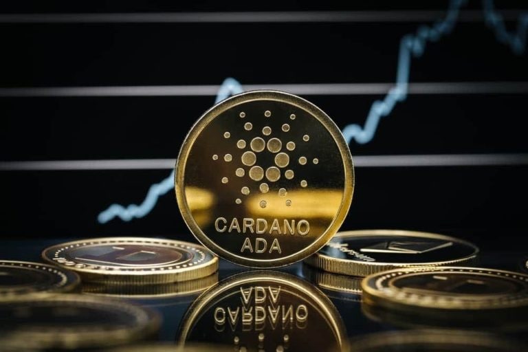 Number of Cardano's wallets grow over 1,200% from last Christmas