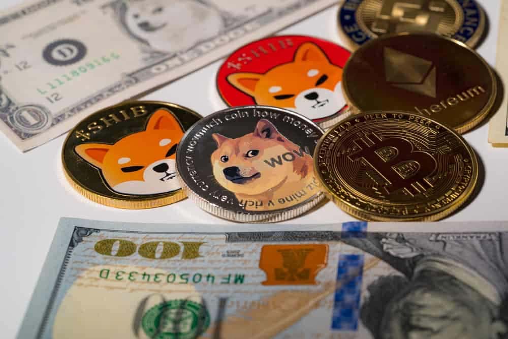 Study: SHIB is the biggest gainer by social media growth in 2021 dwarfing other trending coins