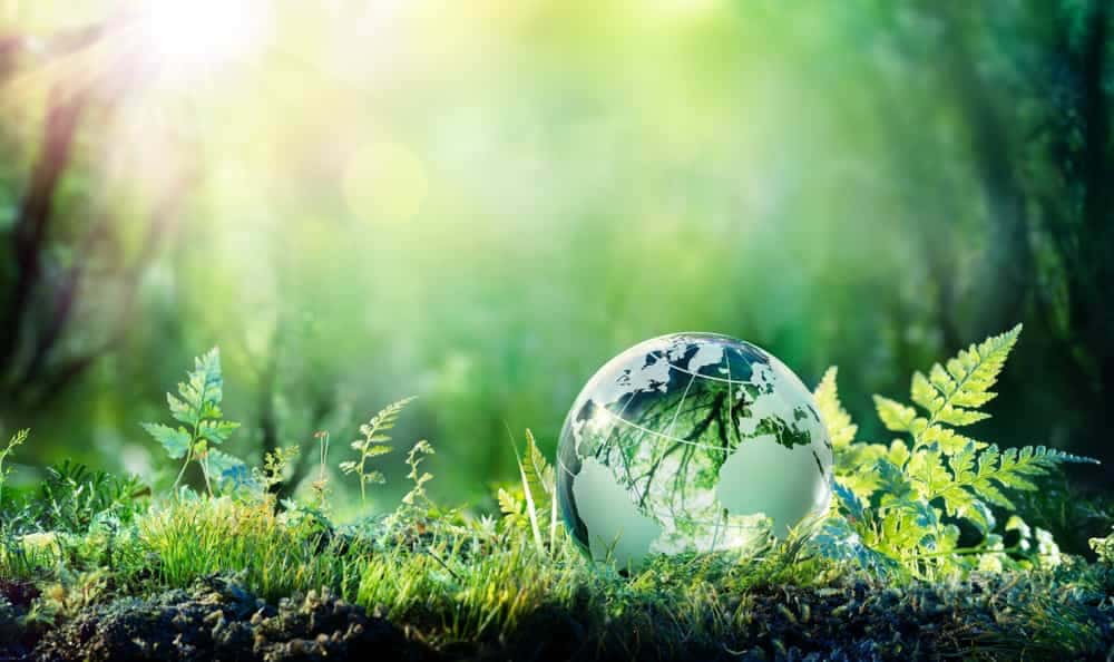 Cardano's climate-positive initiative reaches goal of 1 million planted trees