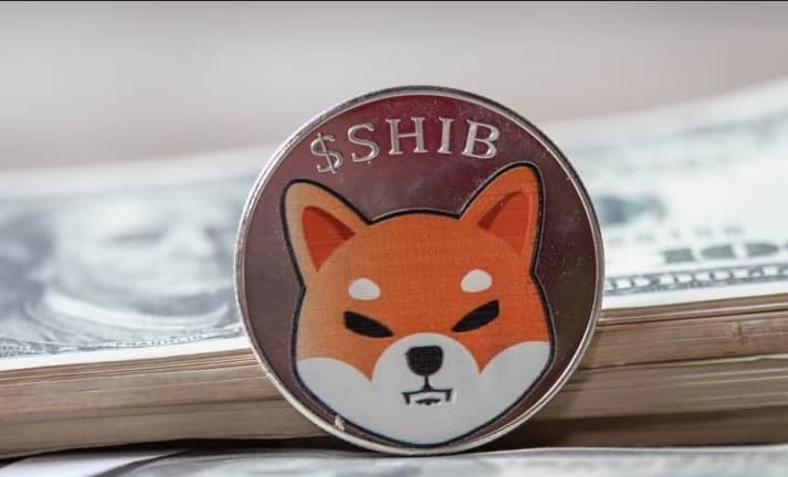 Shiba Inu hype: 4 of the top 10 trending cryptocurrencies have 'SHIB' in their ticker
