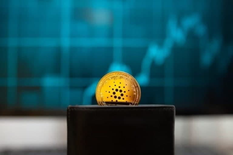 Cardano adds over 9,000 wallets on average daily in 2022