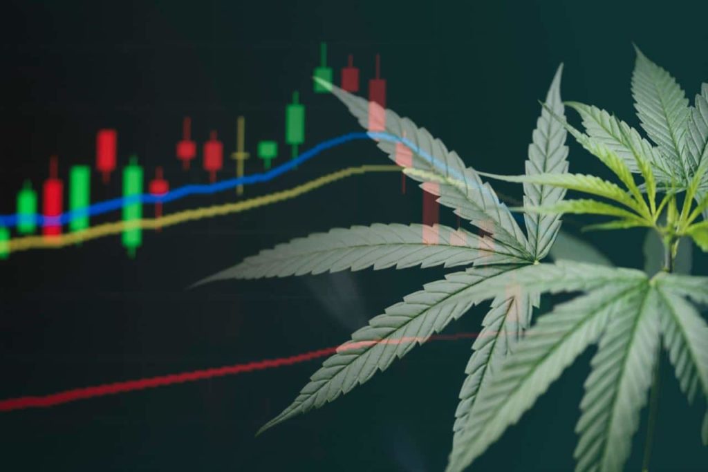 Major marijuana stocks lost 77% of market cap in last 12 months