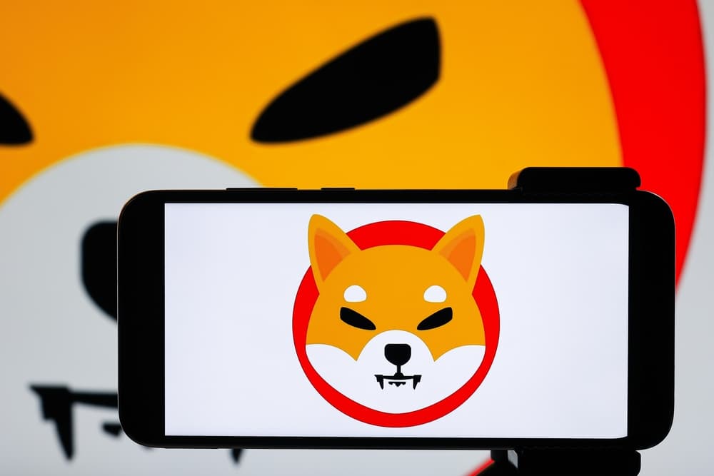 Shiba Inu adds over 35,000 holders in 3 months despite poor SHIB price's performance