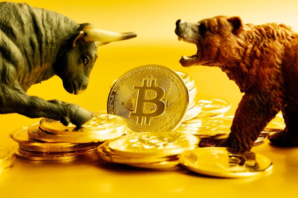 Bitwise CEO says bear markets are moments for making fortunes, projects crypto rally in 2024