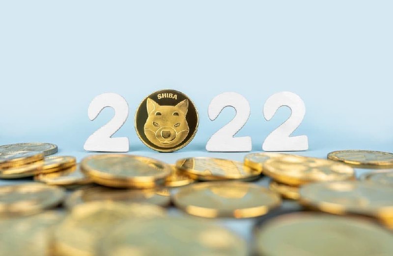 Shiba Inu adds over 100,000 holders in 2022 despite price swings