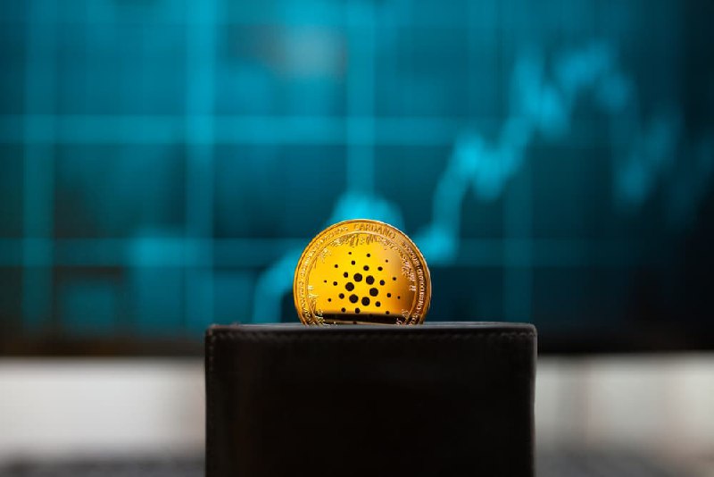 Cardano wallets growth accelerate adding 30,000 in a week amid FTX collapse