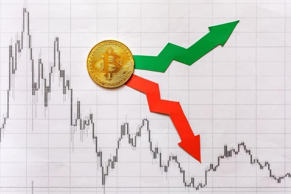 Why is the crypto market up today?