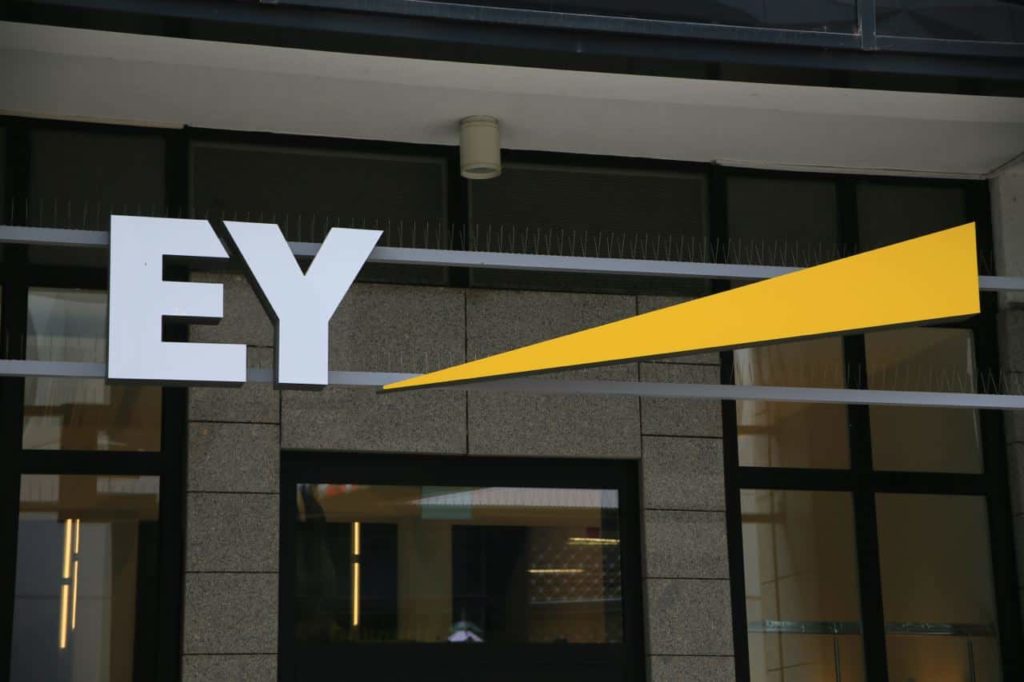Ernst & Young adds Dogecoin to its new blockchain analyzer feature