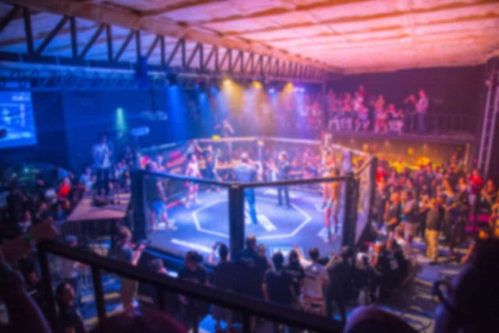 DeFiChain to sponsor Germany's biggest MMA league