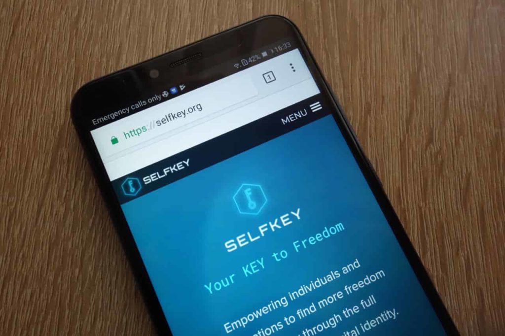 SelfKey launches AI and zk-based solutions for secure digital ID verification