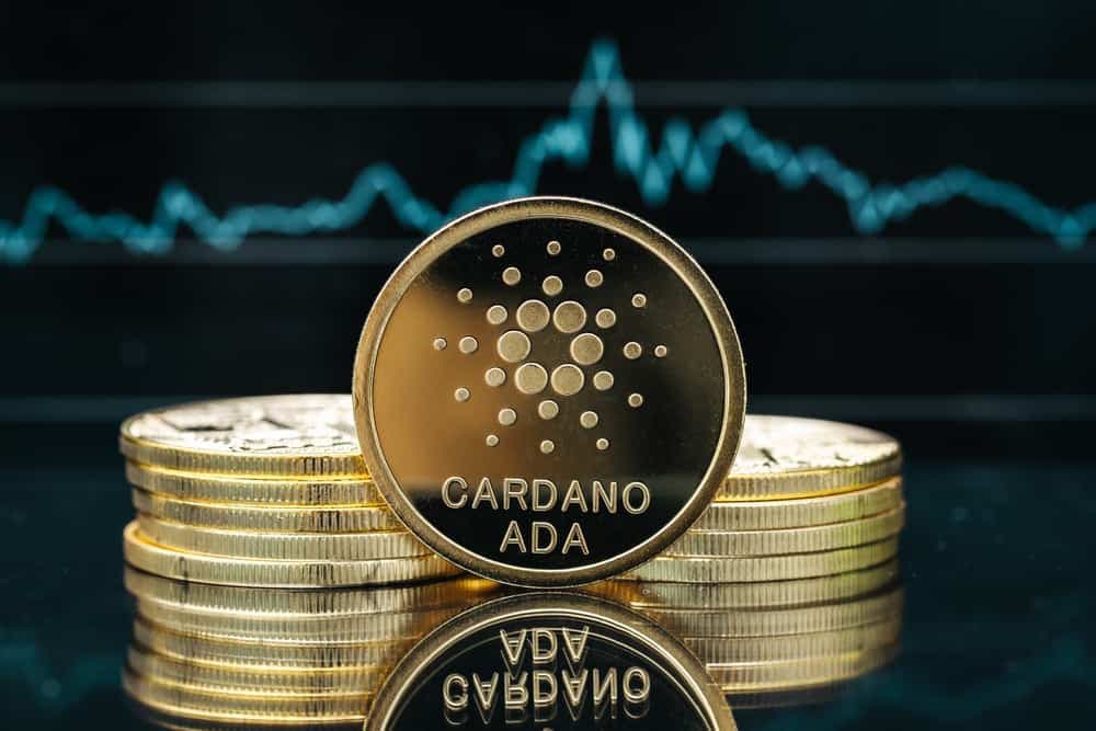 Cardano whales go on a huge 'shopping spree' buying up ADA dip