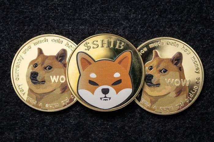 The next SHIB? 5 meme coins with potential for massive growth in 2023