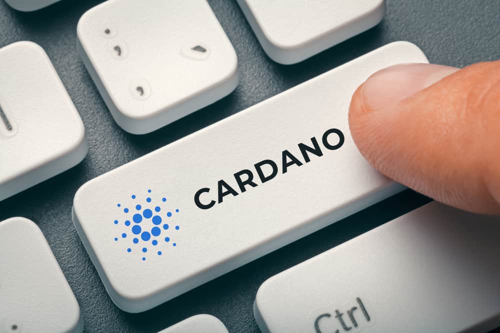 Cardano dominates transaction volume as BTC, ETH network fees skyrocket