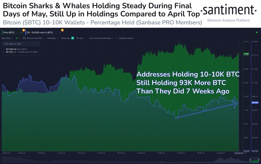 WHALES ACCUMULATION BITCOIN visual data 7