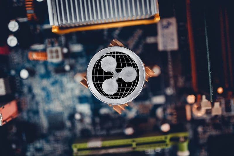 XRP social volume hits 1-year high on optimism and network activity surge