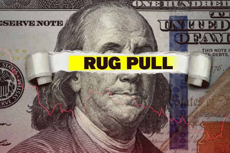 BALD token's 90% crash sparks ‘rug pull’ suspicions