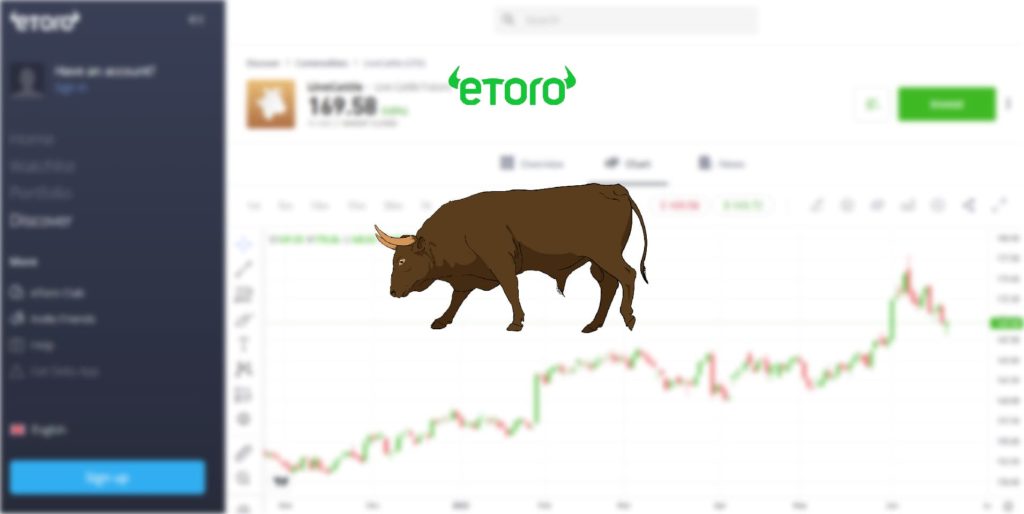 How to Invest in Cattle [2024] StepbyStep
