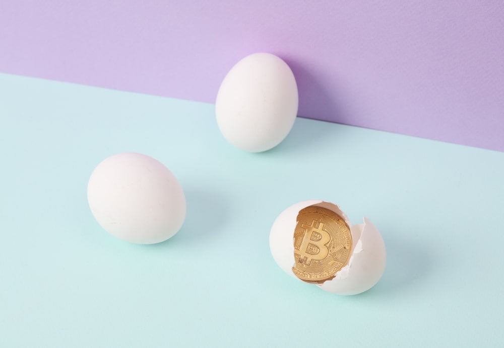 Eggs priced in Bitcoin down 82% in 5 years