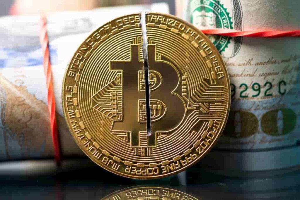 Bitcoin (BTC) halving predicted to double gains for this altcoin