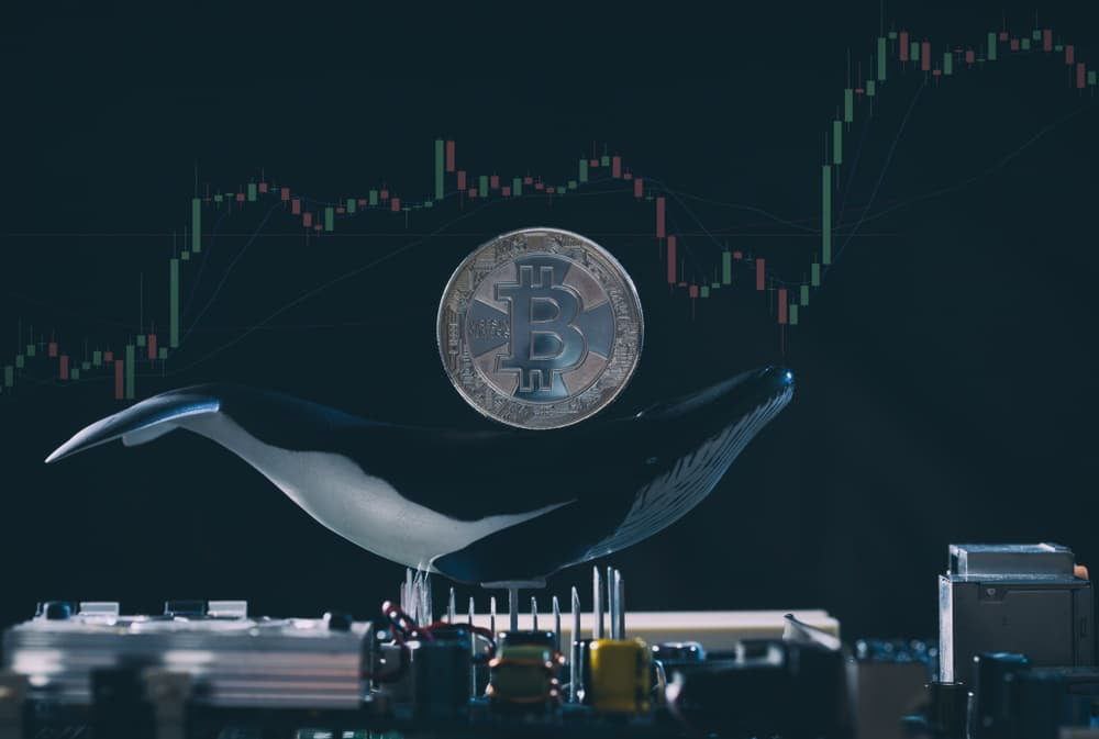 Bitcoin price prediction as whales continue to accumulate