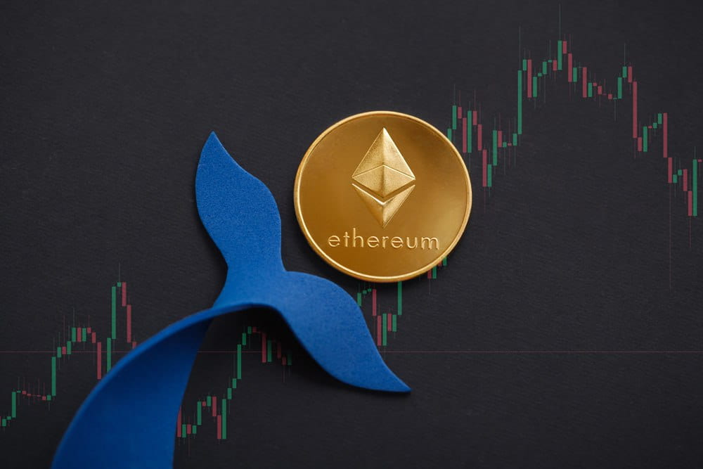 Ethereum price prediction as mysterious whale bags $50 million of ETH in minutes