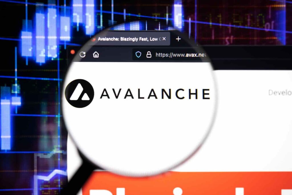 Borroe Finance Set to Outperform Avalanche (AVAX) and Uniswap (UNI) as It Gains Ground in DeFi Space