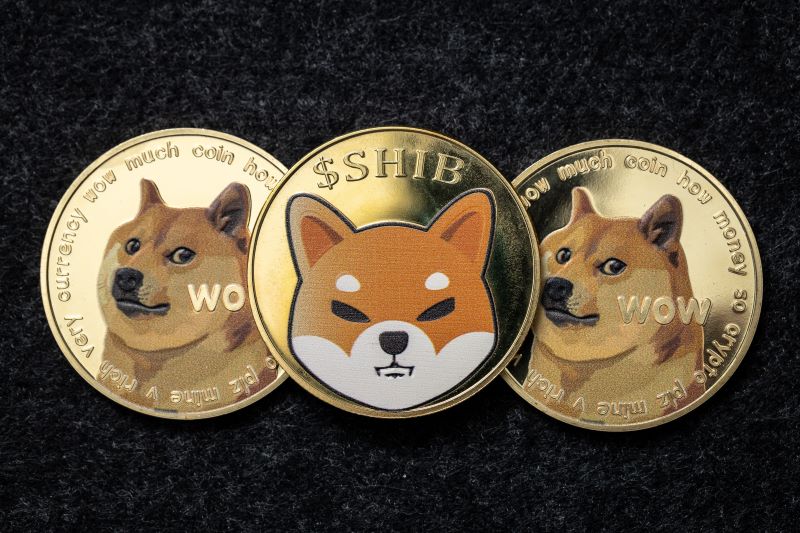 SHIB and DOGE trigger $5 billion overnight explosion: Still time to buy?