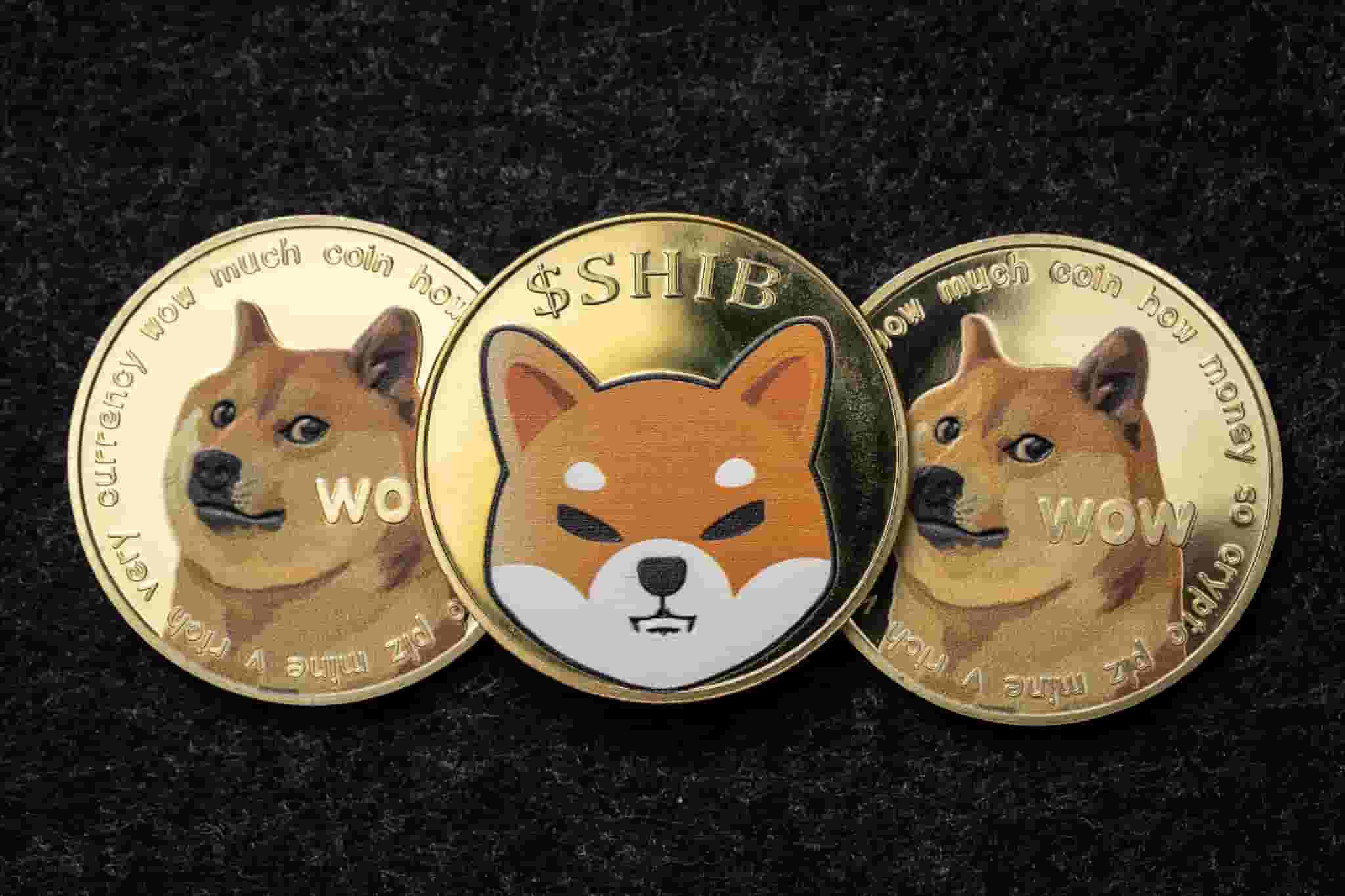 5 Meme Coins To Buy This Week