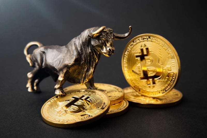 Bitcoin bulls erupt as chart teases explosive surge