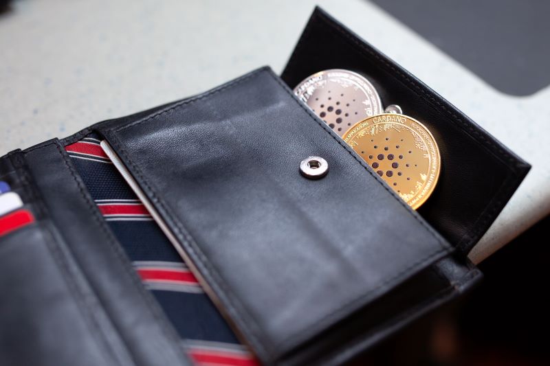 Cardano adds over 2,000 wallets per day in 2024