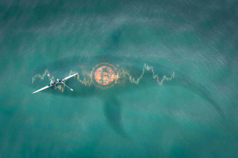 Bullish signal: Bitcoin whale accumulates $90 million in a month
