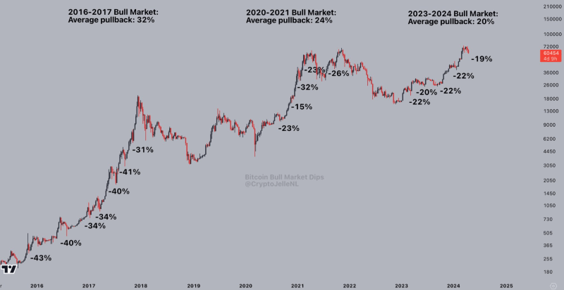 Previous Bitcoin bull markets