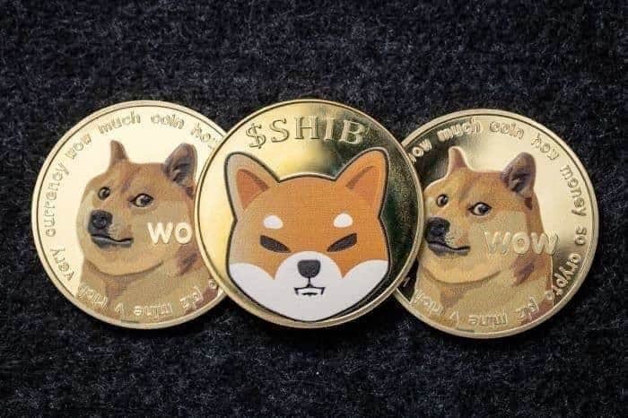 DOGE or SHIB We asked ChatGPT-4o which asset is a better buy for summer 2024