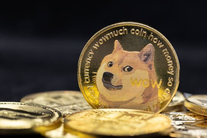 Market expert sets DOGE price to ‘$0.49 and beyond’ soon