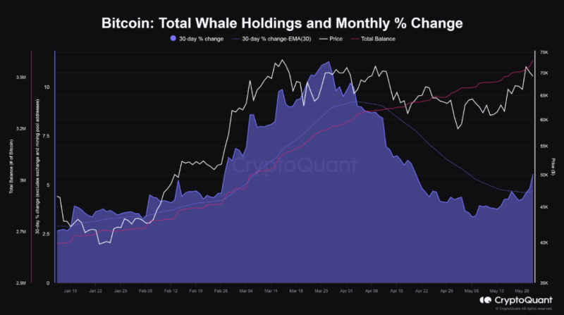 Bitcoin total whale holdings increase. Source: CryptoQuant